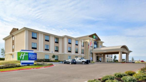 Holiday Inn Express and Suites Schulenburg, an IHG Hotel